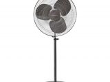 Outdoor Decorative Pedestal Fans Havells 500 Mm Wind Storm Pedestal Fan Price In India Buy Havells