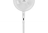 Outdoor Decorative Pedestal Fans Havells Standard 400 Mm Sailor Hs Pedestal Fan White Price In India