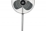 Outdoor Decorative Pedestal Fans Polar 500 Galestar Pedestal Fan Black Price In India Buy Polar 500