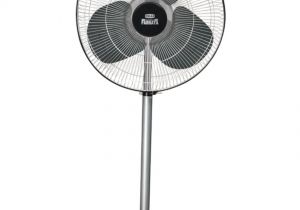 Outdoor Decorative Pedestal Fans Polar 500 Galestar Pedestal Fan Black Price In India Buy Polar 500