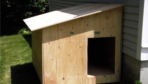 Outdoor Dog Kennel Flooring Lowes Dog Kennel Flooring Lowes Inspirational Dog Houses at Lowes