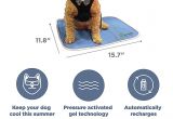 Outdoor Heat Lamp for Dogs Amazon Com the Green Pet Shop Self Cooling Pet Pad Medium Pet