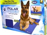 Outdoor Heat Lamp for Dogs as Seen On Tv Polar Pooch Cooling Mat Walmart Com