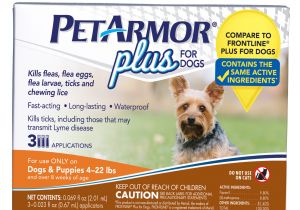 Outdoor Heat Lamp for Dogs Petarmor Plus Flea Tick Prevention for Small Dogs with Fipronil 4