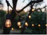 Outdoor Strand Lighting 24 Ft 12 Bulb Outdoor String Lights