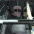 Overhead Gun Rack for Utv Great Day Utv Quick Draw Overhead Gun Rack Qd850ogr for Ranger
