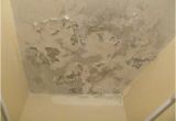 Painted Bathtub Peeling Mold and Peeling Paint On Bathroom Ceiling Picture Of