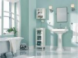 Painted Bathtub Wall Small Bathroom Paint Schemes