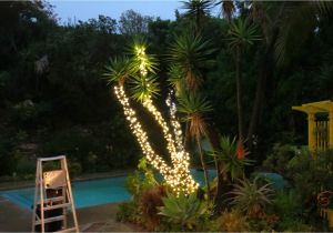 Palm Tree Light Fixture How to Wrap Trees with Outdoor Lights
