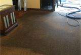 Papillon Rug Cleaning San Francisco A Plus Carpet Cleaning 13 Photos Carpet Cleaning Clermont Fl