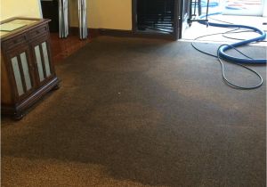 Papillon Rug Cleaning San Francisco A Plus Carpet Cleaning 13 Photos Carpet Cleaning Clermont Fl