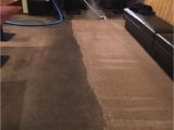 Papillon Rug Cleaning San Francisco Smart Carpet Cleaning Restoration 19 Photos Carpet Cleaning