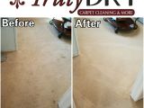 Papillon Rug Cleaning San Francisco Truly Dry Carpet Cleaning 31 Photos 102 Reviews Carpet