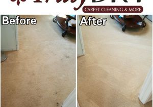 Papillon Rug Cleaning San Francisco Truly Dry Carpet Cleaning 31 Photos 102 Reviews Carpet