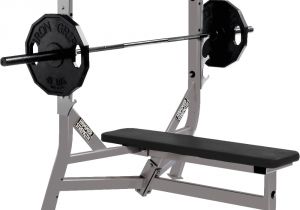Parabody Weight Bench Hammer Strength Benches and Racks Life Fitness