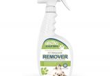 Pet Friendly Floor Cleaner Amazon Com Amaziing solutions Pet Odor Eliminator and Stain Remover