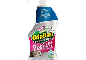 Pet Friendly Floor Cleaner Pet Odor Stain Removers Floor Cleaning Products the Home Depot