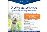 Pet Heat Lamp for Dogs Petarmor 7 Way De Wormer for Puppies and Small Dogs 2 Chewable