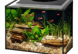 Petco Aquarium Light Aqueon ascent Frameless Led Aquarium Kit Petco