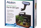 Petco Aquarium Light Aqueon Live Planted Aquarium Clip On Led Fixture Petco