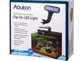 Petco Aquarium Light Aqueon Live Planted Aquarium Clip On Led Fixture Petco