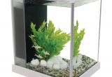 Petco Aquarium Light Fluval Spec Iii Aquarium Kit In White Petco