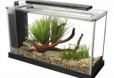Petco Aquarium Light Fluval Spec V Aquarium Kit In Black Petco