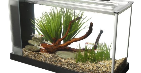Petco Aquarium Light Fluval Spec V Aquarium Kit In Black Petco