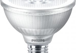 Philips Light Bulbs Automotive Master Ledspot Par Led Spots Philips Lighting