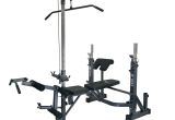 Phoenix 99226 Power Pro Olympic Bench Phoenix 99226 Power Pro Olympic Bench Hayneedle