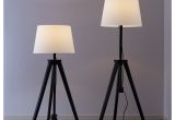 Photographer S TriPod Floor Lamp Antique Nickel Finish Ikea Lauters Floor Lamp Base Brown Ikea for My Home Pinterest