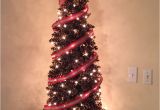 Pictures Of Decorative Pine Trees Christmas Tree Made Out Of Pine Cones Smells so Good Things I Ve