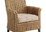 Pier One Imports Swivel Chair Wicker Swivel Patio Chairs Unique Pier 1 Imports sonita Wicker