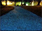 Pizza String Lights How is Your Driveway Looking Landscaping Ideas Pinterest Home