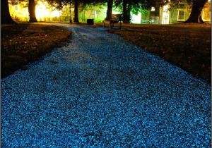 Pizza String Lights How is Your Driveway Looking Landscaping Ideas Pinterest Home