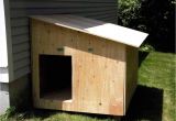 Plastic Outdoor Dog Kennel Flooring Best Of Outdoor Dog Kennel Plans Dog Dog