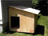 Plastic Outdoor Dog Kennel Flooring Best Of Outdoor Dog Kennel Plans Dog Dog