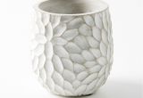 Porcelain Flower Pots Chrysanthemum Pot Chrysanthemums Pottery and Pottery Ideas