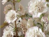 Porcelain Flowers Beauty Will Save Hyperrealistic Porcelain Flowers by