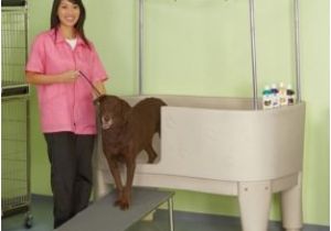 Portable Bathtub for Dogs Pet Grooming Tubs Foter