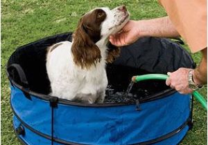 Portable Bathtub for Large Dogs Outdoor Portable Collapsible Dog Bathtub Leave the