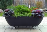 Portable Bathtub On Wheels Creative Ideas to Recycle Old Bathtubs