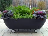 Portable Bathtub On Wheels Creative Ideas to Recycle Old Bathtubs