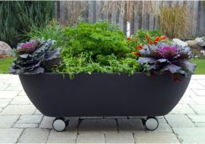 Portable Mobile Bathtub Creative Ideas to Recycle Old Bathtubs