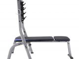 Portable Workout Bench Domyos Weight Bench 100 by Decathlon Buy Online at Best Price On