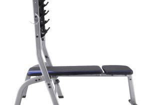 Portable Workout Bench Domyos Weight Bench 100 by Decathlon Buy Online at Best Price On
