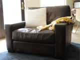 Pottery Barn Newport Chair and A Half 50 Unique Pottery Barn Basic sofa Slipcover Images 50 Photos