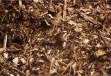 Premium forest Floor Mulch forest Mulch Redback Land Garden Centre