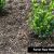 Premium forest Floor Mulch Ground Covers Mulch