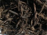 Premium forest Floor Mulch Premium forest Floor C M topsoil